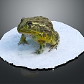 Modern frogs Frogs 3d model