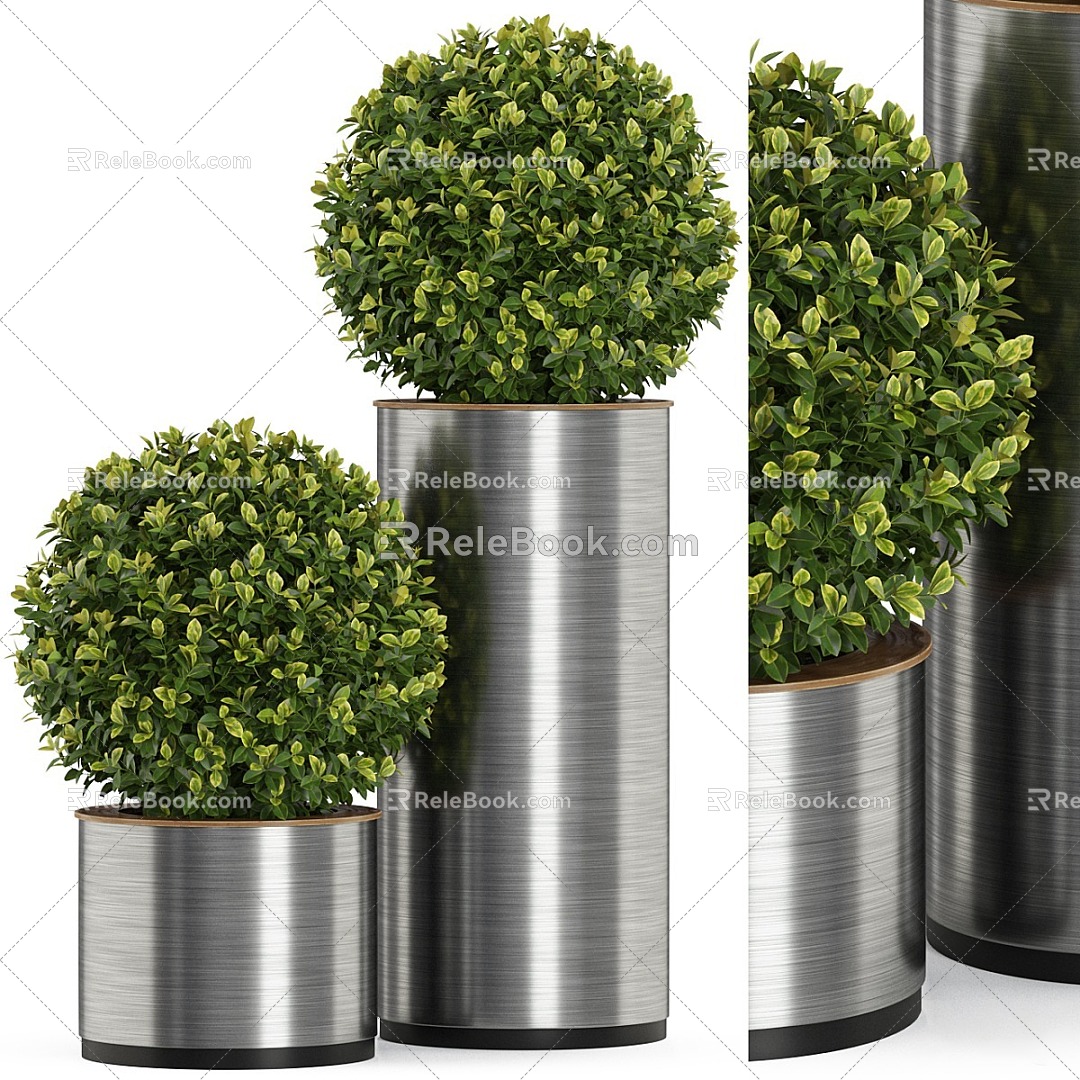 Modern Plant Potted Spherical Plant Plant Ball CR 3d model