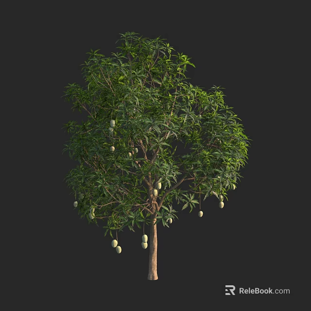Tall Arbor With Lush Green Leaves And Hanging Fruits On Black Background 3d model 