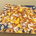 Colorful Autumn Leaves Scattered On Dark Square Surface With Natural Tones