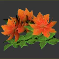 Vibrant Botanical Plant with Red and Orange Flowers and Lush Green Leaves on Dark Background