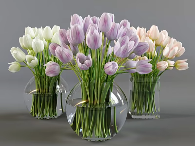 Decorative Round Transparent Glass Vases With White Purple Pink Tulips Arrangement 3d model