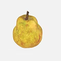 Fresh Ripe Pear with Yellowish Brown Skin Red Spots and Classic Pear Shape