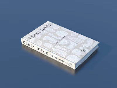 Kerry Joyce The Interior Design Book With Textured Cover And Patterns 3d model