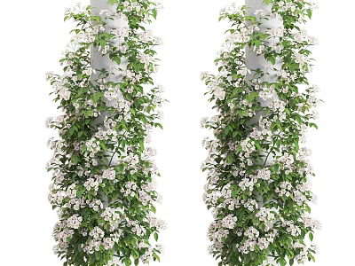 Vines Growing On Pillars With White Flowers And Green Leaves 3d model