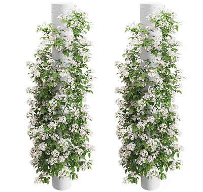 Vines Growing On Pillars With White Flowers And Green Leaves 3d model