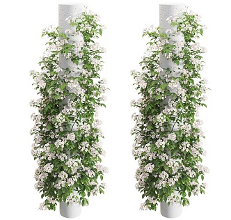 Modern Vine Large Umbrella White Rose Pillar Vine Plant Wall Outdoor Pillar Vine Creeper Flowering Greening Hedge 3d model