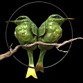 Two Green Hummingbirds Perched on Branch in Circular Frame with Black Background