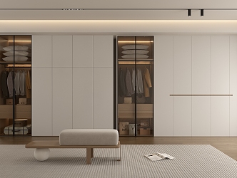 Modern wardrobe 3d model