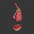 Chest Organs 3D Anatomical Model Showing Lungs Heart Trachea and Diaphragm Structures 3d model