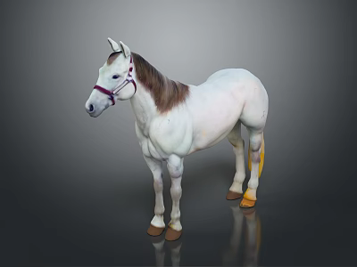 White Horse With Brown Mane Standing On Dark Background With Red Bridle And Reflection 3d model