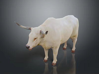 White Bull With Horns Standing On Dark Background With Reflection 3d model