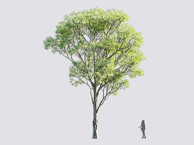 Arbor With Lush Green Leaves Tall Trunk And A Standing Figure Beside In Natural Setting 3d model