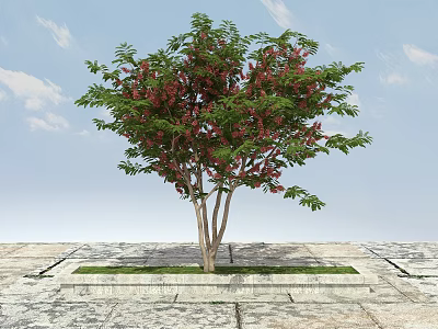 Green Leafy Arbor With Red Blossoms Multiple Trunks In Stone Planter Under Blue Sky 3d model