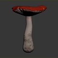Red Mushroom Plant With Shiny Vibrant Red Cap And Light Colored Stem On Dark Background