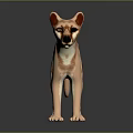 Thylacine 3D Model Light Brown Body Dark Stripes Standing On Black Reflective Background