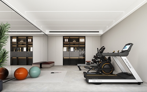 Home Gym Fitness Room Fitness Equipment 3d model