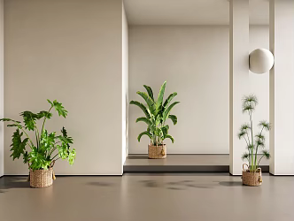 potted plant green plant household plant potted plant combination 3d model