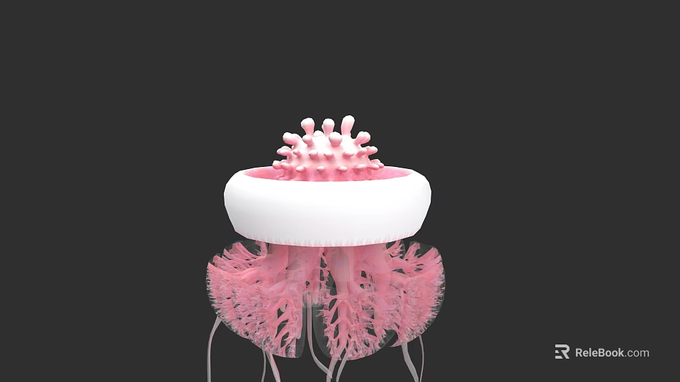 Pink and White Jellyfish Aquatic Animal With Delicate Tentacles And Bell Structure 3d model 