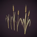 Golden Wheat Ears And Green Grass Standing On Dark Background Scene