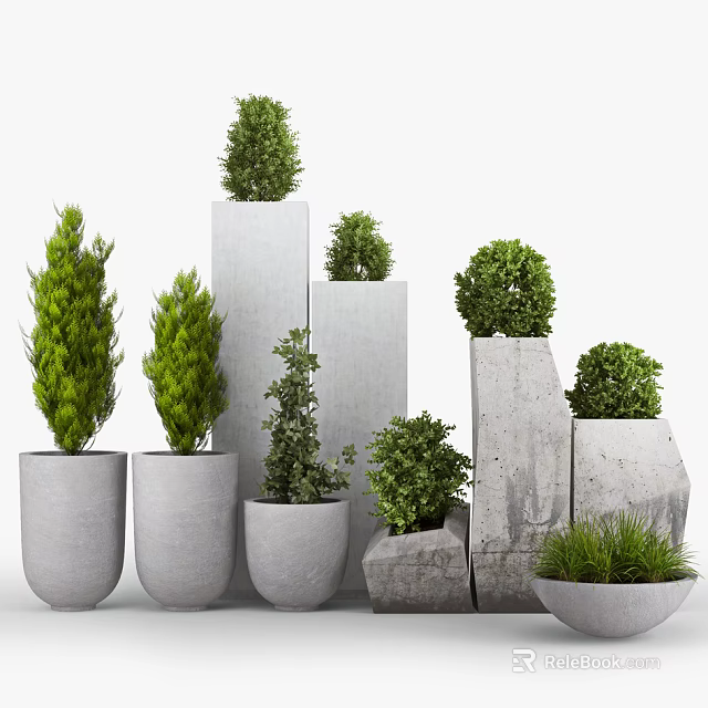 Bonsai Potted Plants In Various Concrete Planters With Different Sizes And Green Foliage 3d model 