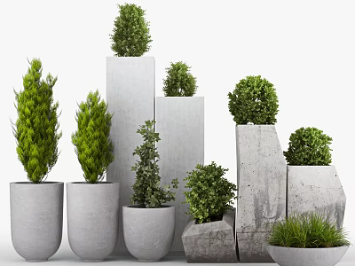 Bonsai Potted Plants In Various Concrete Planters With Different Sizes And Green Foliage 3d model