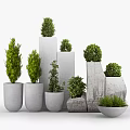 Bonsai Potted Plants In Various Concrete Planters With Different Sizes And Green Foliage