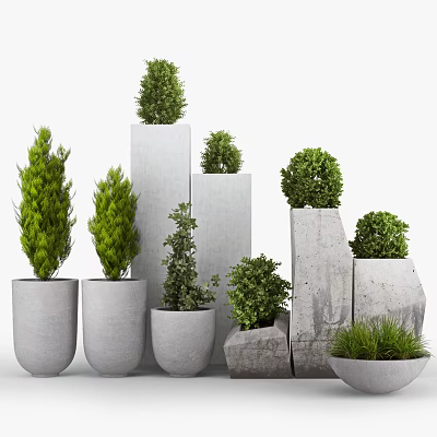 Bonsai Potted Plants In Various Concrete Planters With Different Sizes And Green Foliage 3d model