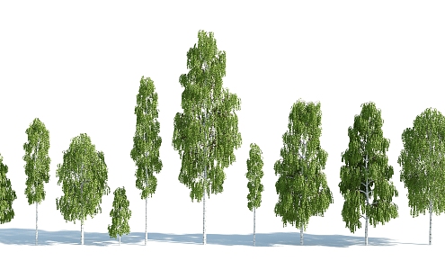 The Modern Tree 3d model