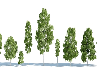 The Modern Tree 3d model