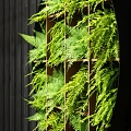 modern plant wall fsform board plywood loft 3d model