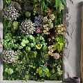 Living Plant Wall With Diverse Green Plants Colorful Flowers And Stone Accents
