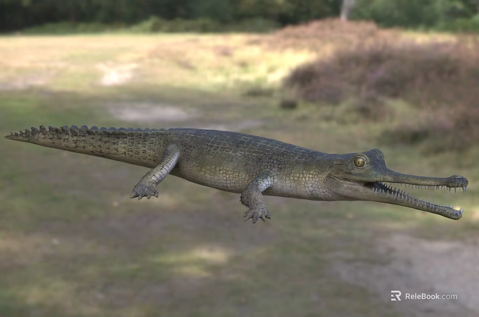 Wild Crocodile In Natural Wetland Habitat With Long Snout And Scales 3d model 