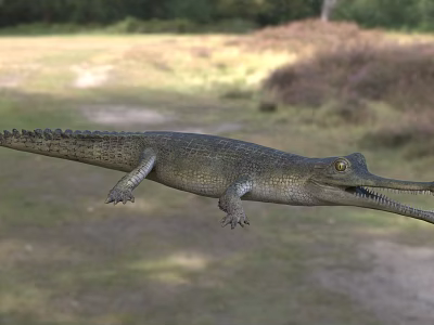 Wild Crocodile In Natural Wetland Habitat With Long Snout And Scales 3d model