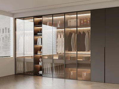 Modern Lighted Wardrobe Interior Design With Glass Doors Hanging Clothes And Storage Shelves 3d model