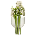 White Flowers In Transparent Glass Vase With Green Stems And Elegant Design