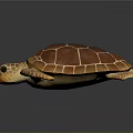 Brown and Orange Sea Turtle Displaying Textured Shell Patterned Flippers and Detailed Limbs 3d model