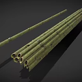 Green Bamboo Poles With Nodes Textured Surface And Holes In Natural Condition