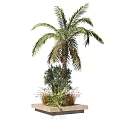 Indoor Decorative Bonsai and Potted Plants With Palm Olive Tree and Greenery Arrangement