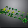 Green Plants With Various Leaf Shapes Arranged On Gray Background