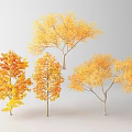 Autumn Arbor Trees With Vibrant Yellow Orange Leaves In Natural Scenery