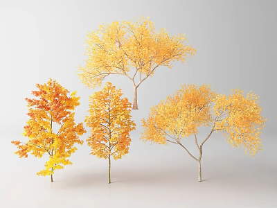 Autumn Arbor Trees With Vibrant Yellow Orange Leaves In Natural Scenery 3d model