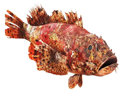 Colorful Red Brown Aquatic Animal With Scaly Texture Open Mouth And Fins 3d model