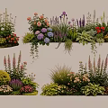 Vibrant Plant Combinations With Colorful Flowers Green Shrubs And Perennial Plants