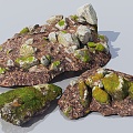 Stone Rock Ground Stone Ground Moss Stone Roots Forest Ground Primeval Forest Pavement Stone Pile Stones Cone into the Ground 3d model