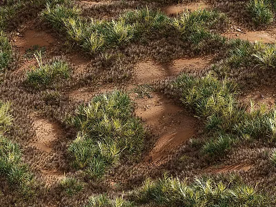 Decorative Ornament Set With Sand And Green Plant Elements For Home Decor 3d model
