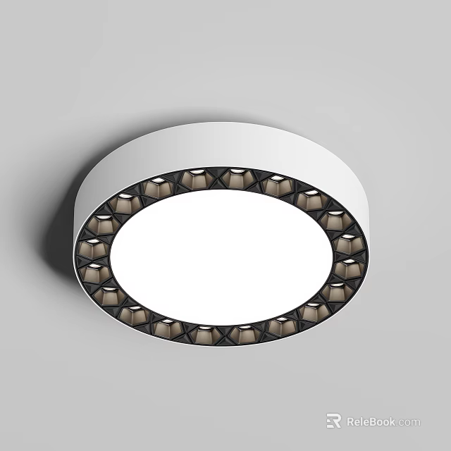 Modern Round Ceiling Light With White Central Panel And Decorative Dark Trim Design 3d model