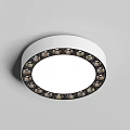 Modern Round Ceiling Light With White Central Panel And Decorative Dark Trim Design 3d model