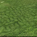 Creative Garden Landscape Design With Irregular Shaped Green Lawns And Lush Vegetation