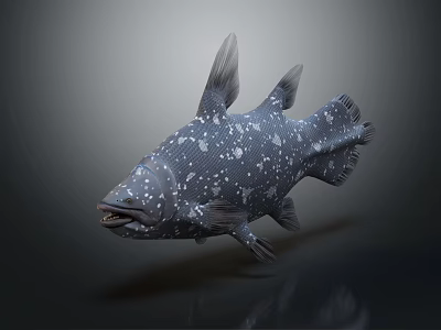 Realistic Dark Colored Aquatic Fish with White Spots and Prominent Fins 3d model Realistic Dark Colored Aquatic Fish with White Spots and Prominent Fins 3d model